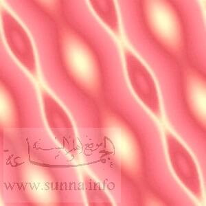 oval stripes خطوط اشكال بيضوية
