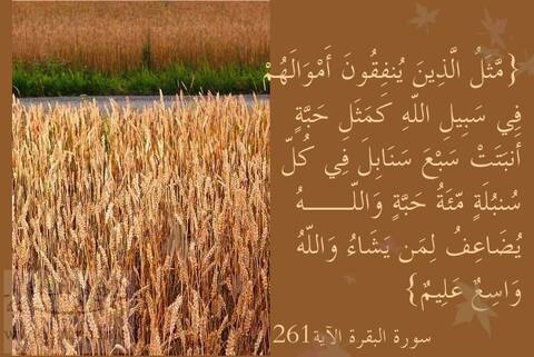 مضاعفة الثواب