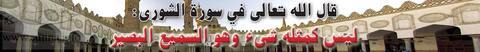 ليس كمثله شىء