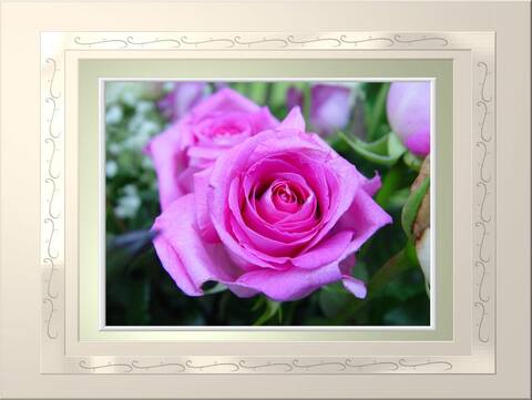 Pink Flower