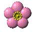زهرة