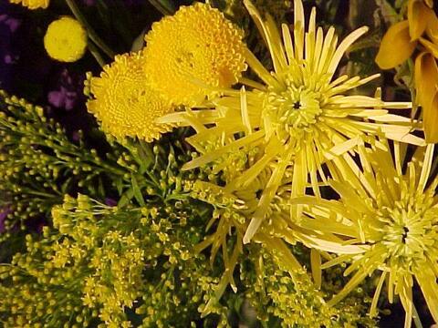 Yellow Bouquet