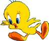 bird عصفور