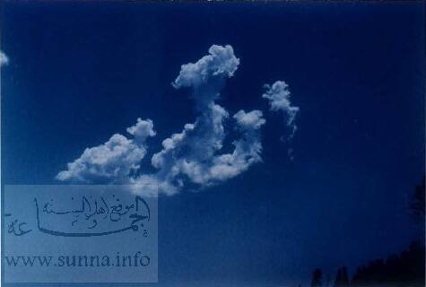 Name of Allah in sky