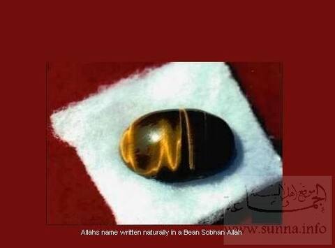 The name of Allah إسم الله مكتوب على حبة