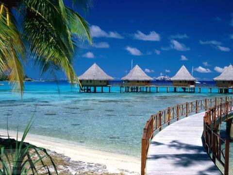 polynesia