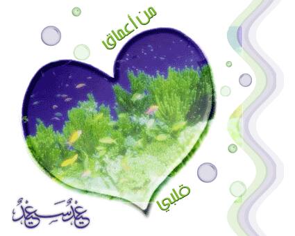 عيد الفطر Eid Fitr