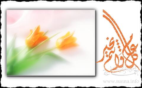 Adha Eid عيد الأضحى