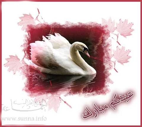 عيد سعيد عيد أضحى مبارك eid