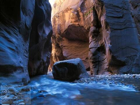 rocks صخور