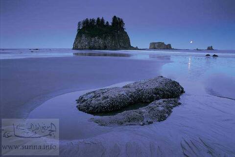 cold blue المساء