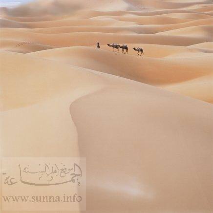 sahara desert