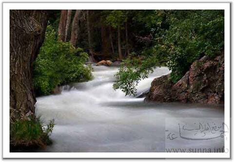 River منظر جميل
