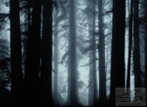 Forest غابة
