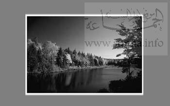 Black and white طبيعة