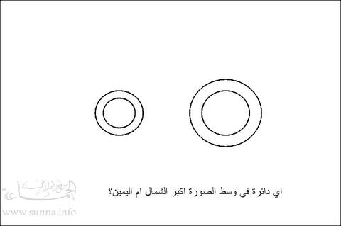 دائرة كبيرة