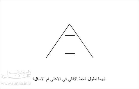افقي