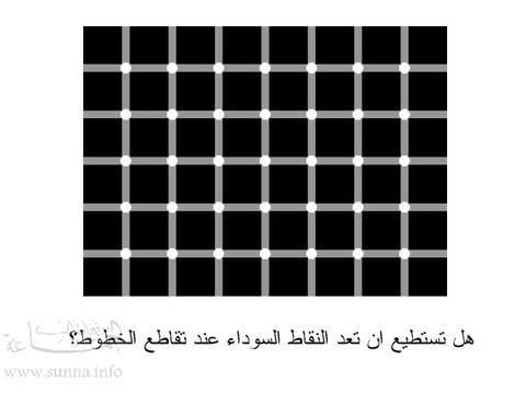 عدد النقاط