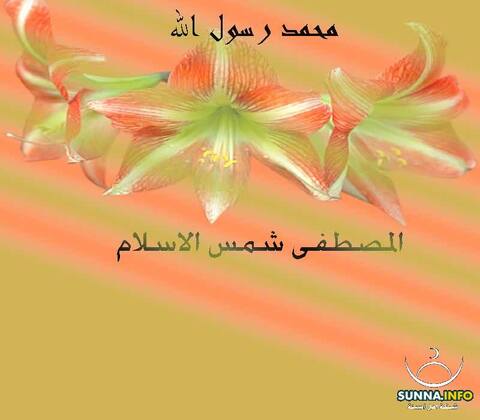 حبيبي يا رسول الله